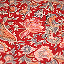 ʐ^NbNƁA傫ȉ摜ɂȂ܂