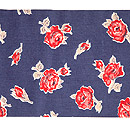 ʐ^NbNƁA傫ȉ摜ɂȂ܂