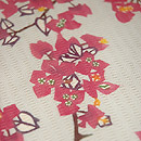 ʐ^NbNƁA傫ȉ摜ɂȂ܂