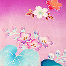 菫色菊桐文様祝い着