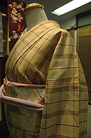 格子伊兵衛織単衣に春文様名古屋帯