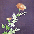 紫地アザミ柄絽単衣