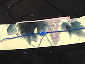 葡萄の図染名古屋帯と青色練り物の帯留