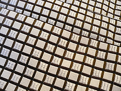 黒紋付に格子柄袴