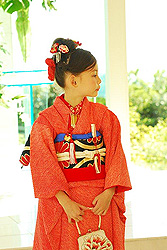 総絞り祝い着に菊立涌文丸帯