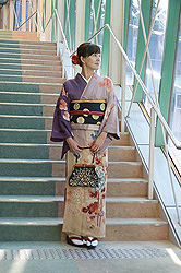 蔦と菊の図訪問着