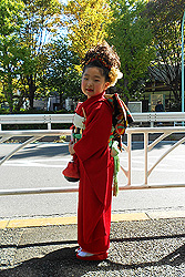 無地だからこそ目立ちます！