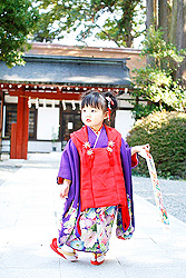 赤の映えるいろ