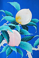 珍しい桃文様の色留袖！