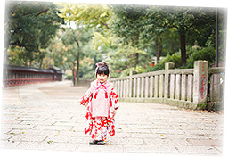 アンティークの着物で特別なお祝いを