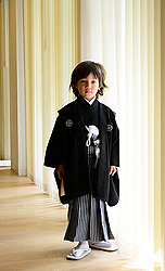 一番人気はシンプルな黒紋付