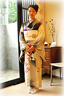 凛と格好良く単衣の訪問着