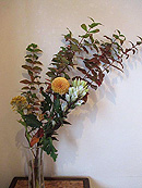 秋のお花でお出迎え