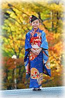 銀杏の紅葉に包まれた七五三