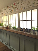 pindot　studio　ピンドットスタジオ