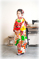 ポンポン菊吉祥文様縮緬祝い着