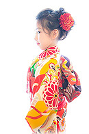 ポンポン菊吉祥文様縮緬祝い着