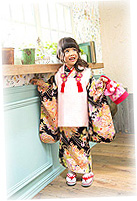 舞鶴菊立涌く文様錦紗祝い着