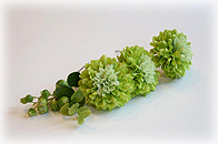 灯屋２オリジナル髪飾り