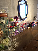 七五三フロア　イメージ