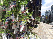 銀座通りの七夕