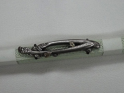 早蕨に桜花びら銀帯留