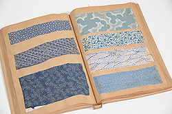 浦野理一の布達「みて、ふれる」