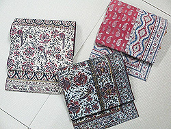 「サリーの美を和に託して」開催中です