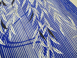 縦絽縮緬の柳文様小紋