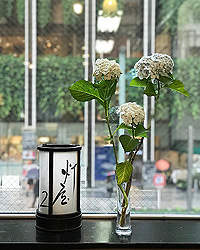 「夏よ恋」へのご来場ありがとうございました