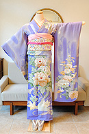 蝶々に牡丹菊花の図振袖