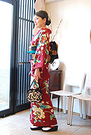 唐草文様訪問着