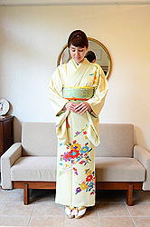 パーティーにお勧め!大人可愛い訪問着