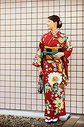 牡丹唐草文様の訪問着