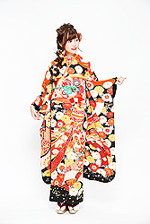 菊花熨斗文様黒振袖