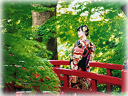 素敵な前撮り写真を頂戴しました。