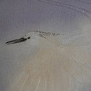 白鷺の図単衣羽織　質感・風合