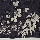 経絽散歩着 上前