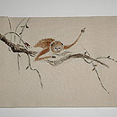テナガザルの刺繍名古屋帯