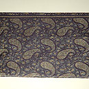 インドサリー名古屋帯　前中心