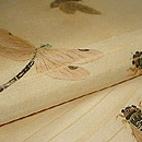 蜻蛉に蝉柄紗名古屋帯　質感・風合