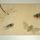 蜻蛉に蝉柄紗名古屋帯　前中心