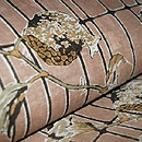 石榴の図染名古屋帯 質感・風合