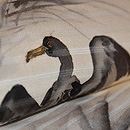 鵜飼いの図絽名古屋帯　質感・風合