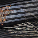 芦とぎんやんま紗名古屋帯 質感・風合