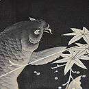 鯉の図夏羽織　羽裏