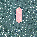 あられに雪輪文様付下 落款