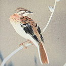 猫柳に百舌鳥一越縮緬付下　質感・風合