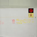 若草色万筋江戸小紋袷　織り出し