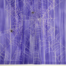 絽錦紗刷毛暈しに蜘蛛の巣付下　上前